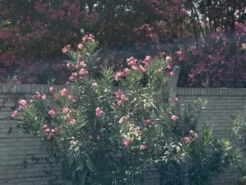 Casa en Venta 7 años