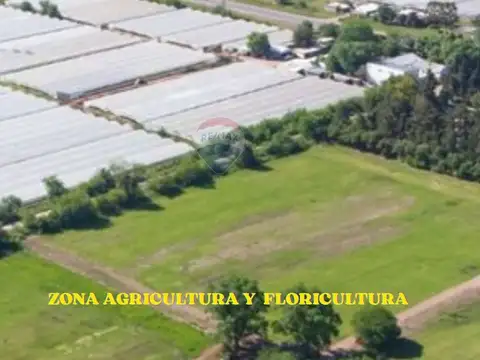 CAMPO EN VENTA 4 HECTARIAS  ABASTO LA PLATA CHACRA