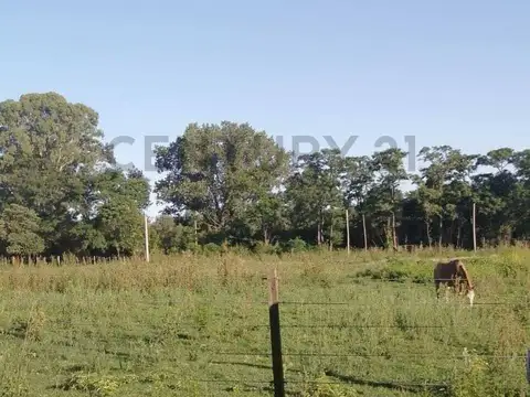 Lote en Mechita Bragado | Oportunidad para Construir Casa de Descanso a 200 km de CABA