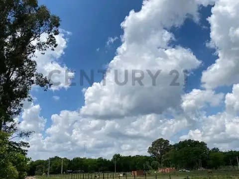 Miguel Gallardo y Lucio Mansilla , Piso 0