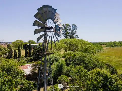 Venta - Campo - 5 hectáreas - Frutales