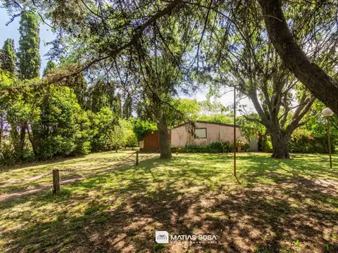 San Francisco Javier 500