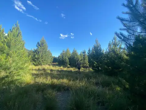 Terreno en Villa Lago Meliquina