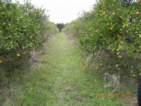 Terreno en Venta de 1200,0 m2