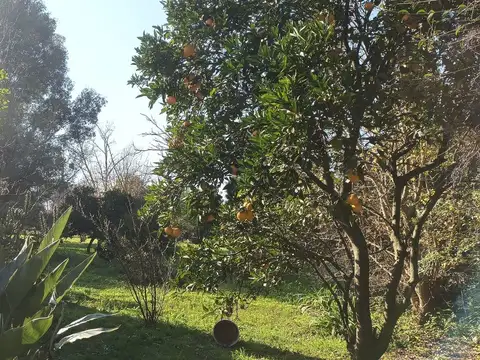 Terreno en Venta de 2559,0 m2