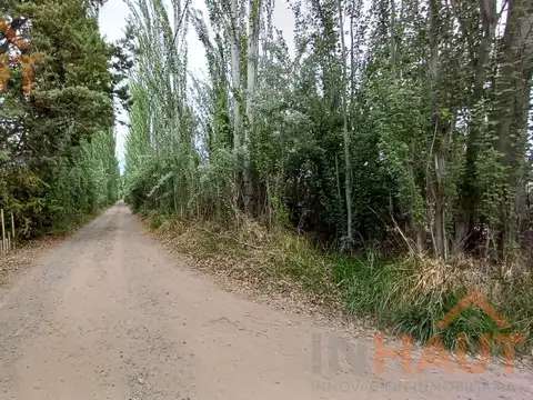 Terreno en Venta 25  mts Fondo