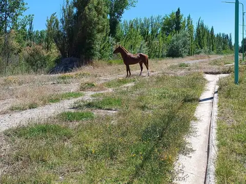 Terreno en Cinco Saltos
