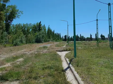 Terreno en Venta 25  mts Fondo