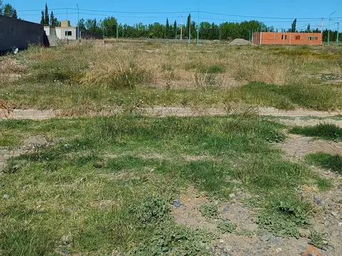Terreno en Venta en Cinco Saltos, USD 9.500