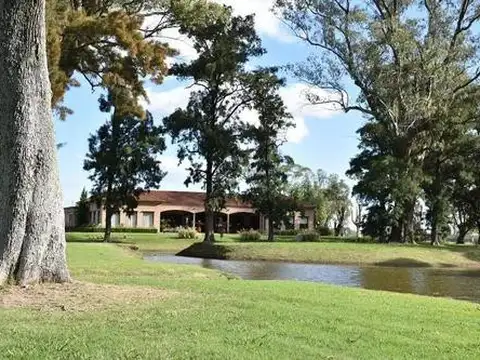 Terreno en Venta de 804,0 m2