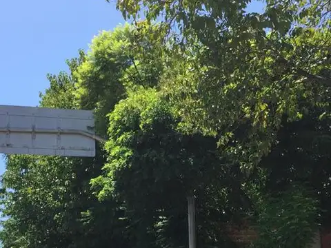 Terreno en Venta en Tigre Centro, USD 295.000