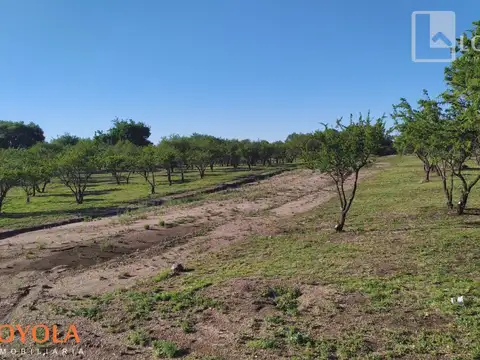 Terreno en Venta de 880,0 m2