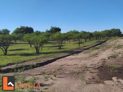 Terreno en Venta, FOS 20