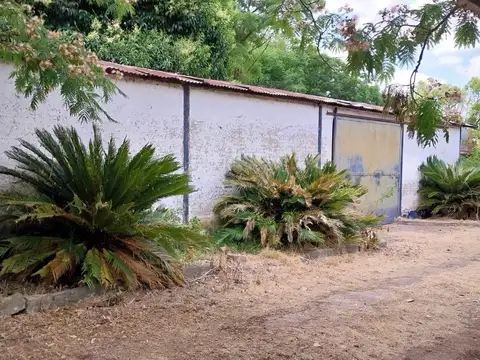 Campo - Coronel Brandsen