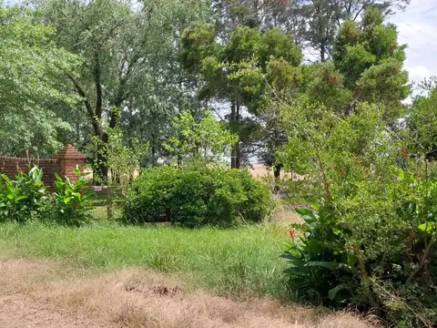 Campo - Coronel Brandsen