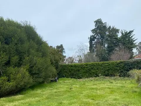 Avenida Juan Manuel de Rosas 2200