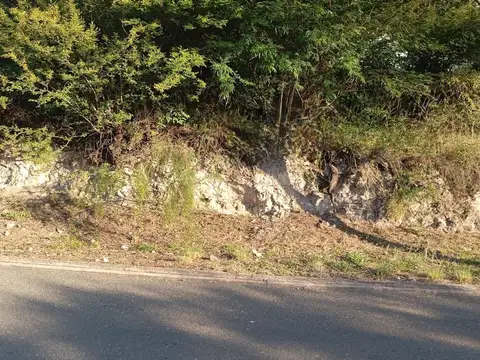 Av. Ejercito Argentino 300