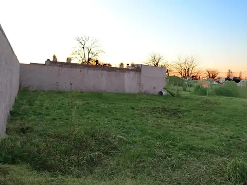 Terreno en Venta de 310,0 m2