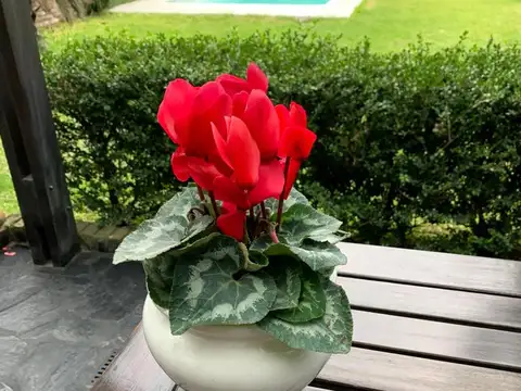 Casa en Venta 30 años