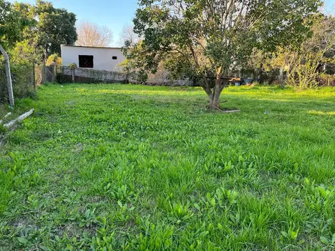 Vendo Casa Antigua con amplio Terreno en Caseros, Entre Ríos.