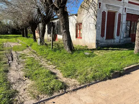 Vendo Casa Antigua con amplio Terreno en Caseros, Entre Ríos.