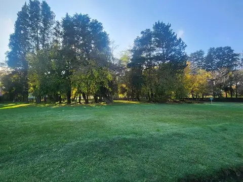 Terreno en Venta de 1100,0 m2