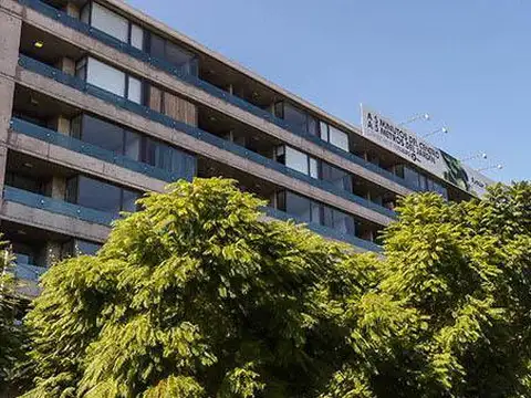 THEDY 158 - CONDOS 3