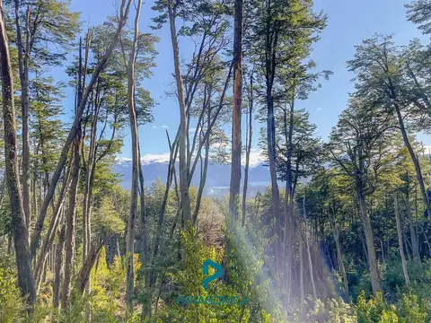 Terreno en Venta 200  mts Frente