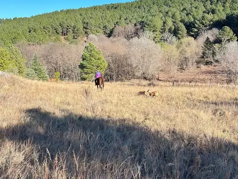 Terreno en Venta en Yacanto Calamuchita, USD 74.280