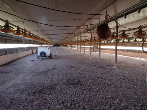 Campo en Venta con Alambrado