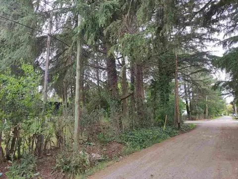 Terreno en Venta en Villa Elisa, USD 69.000