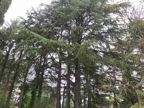 Terreno en Venta de 860,0 m2