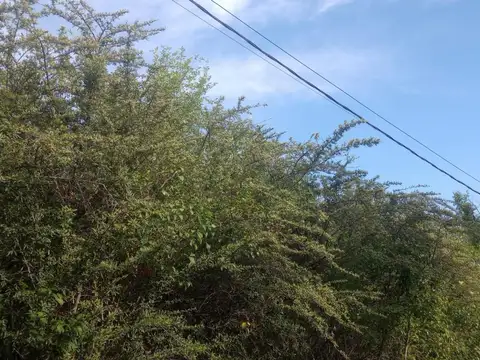 Terreno en Venta de 680,0 m2