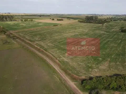 Campo agrícola de 16 hectáreas en Corrales - Proximo a Antelo – Entre Ríos