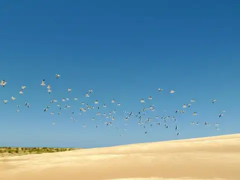 Terreno en Venta de 820,0 m2