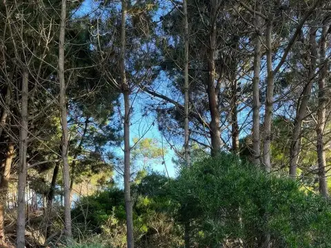 Terreno en Venta de 1041,0 m2