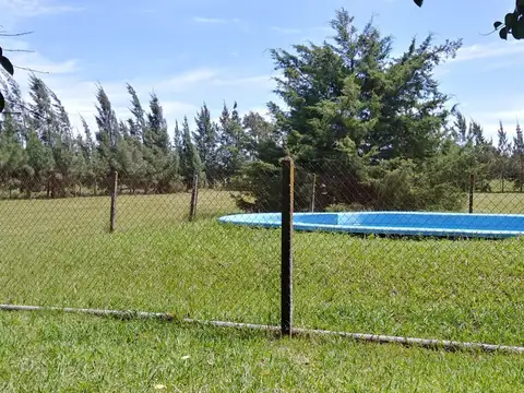 Quinta - Lisandro Olmos Etcheverry