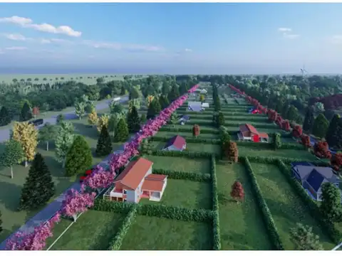 TERRENO ALVAREZ BARRIO ABIERTO LAS TIPAS CONTINUACION DE OV.