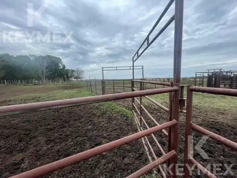 Campo en R36 (km 50) y Camino a Payro