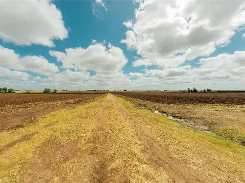 Campo en Venta de 83  ha