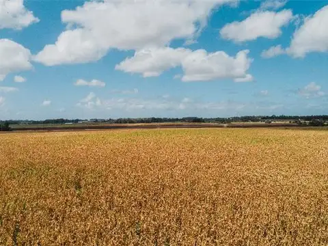 PROPIEDADES RURALES - AGRICOLA - ZONAS RURALES