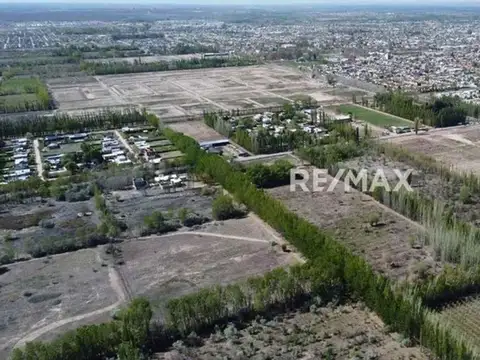 Terreno en Venta en Cipolletti, USD 38.000