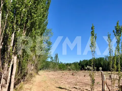 Terreno en Venta de 492,0 m2