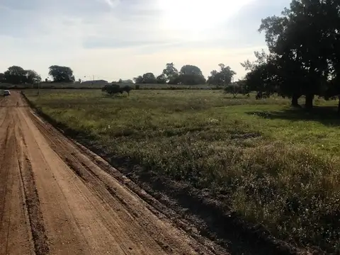 Terreno en Venta de 1000,0 m2