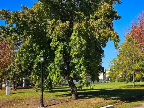 Terreno en Venta en Cardales Village, USD 48.000