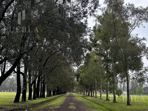 Terreno en Venta de 2000,0 m2