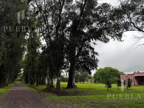 Terreno en venta club de campo la pintada. General Las Heras