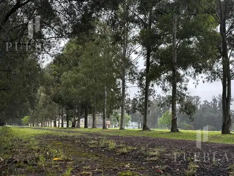 Terreno en Venta 200  mts Fondo