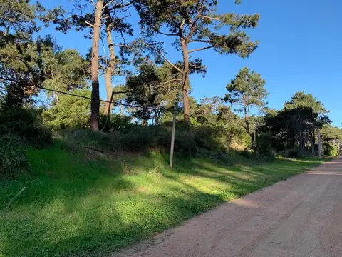 Terreno en Venta de 7800,0 m2