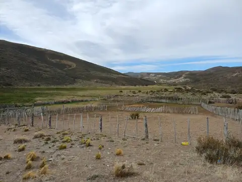 Campo en Venta Ganadero